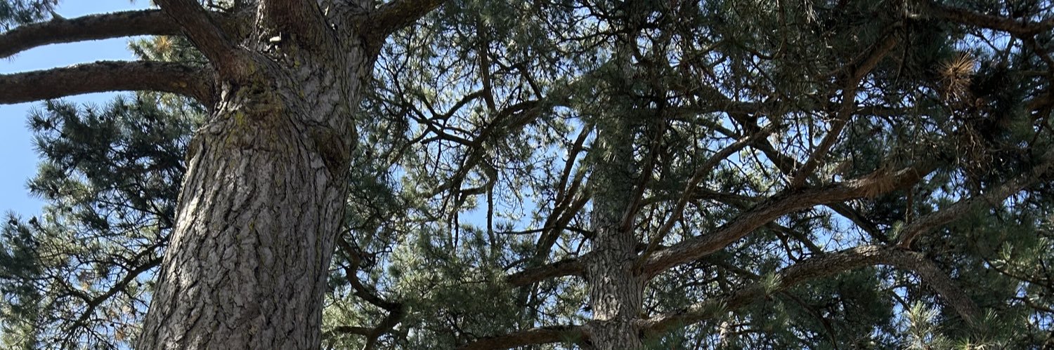 𝐉𝐮𝐥𝐢𝐞𝐧 🪐⛰️ banner