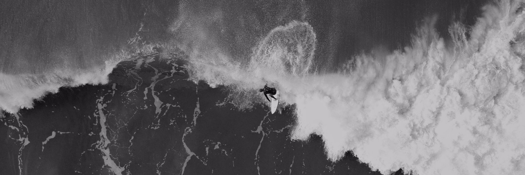 alvaaz's profile banner image