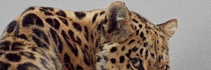 ece_o07's profile banner image