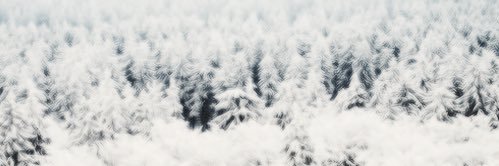 Ooh_Deer's profile banner image