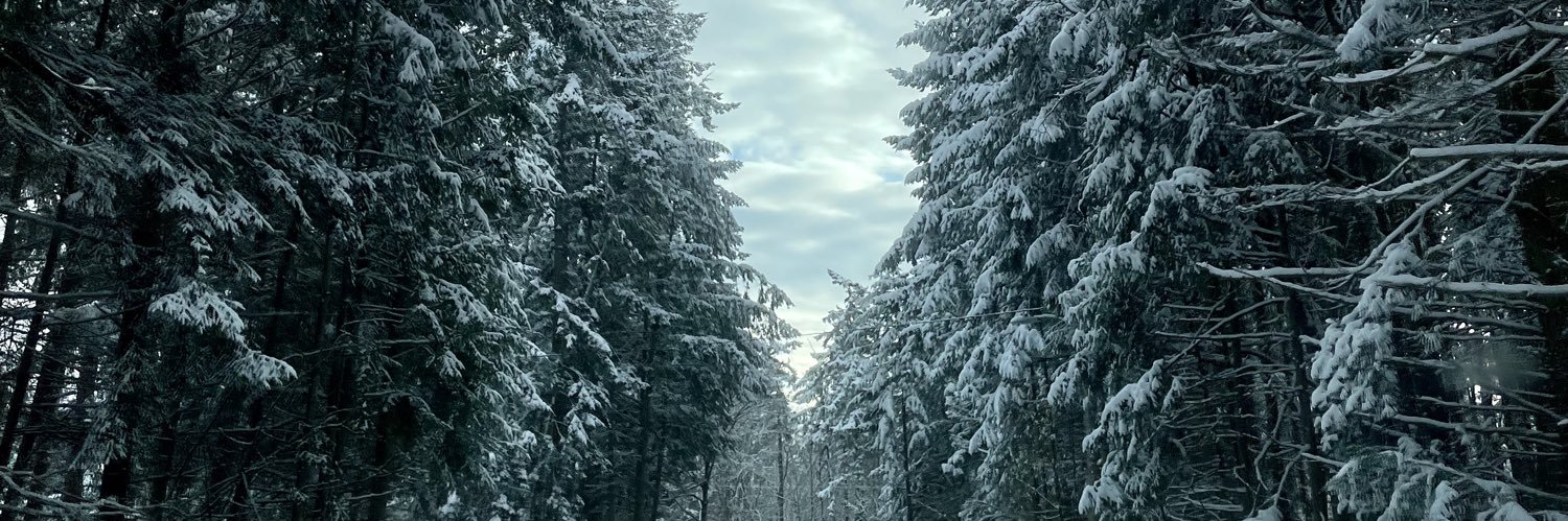deannaljohnson_'s profile banner image