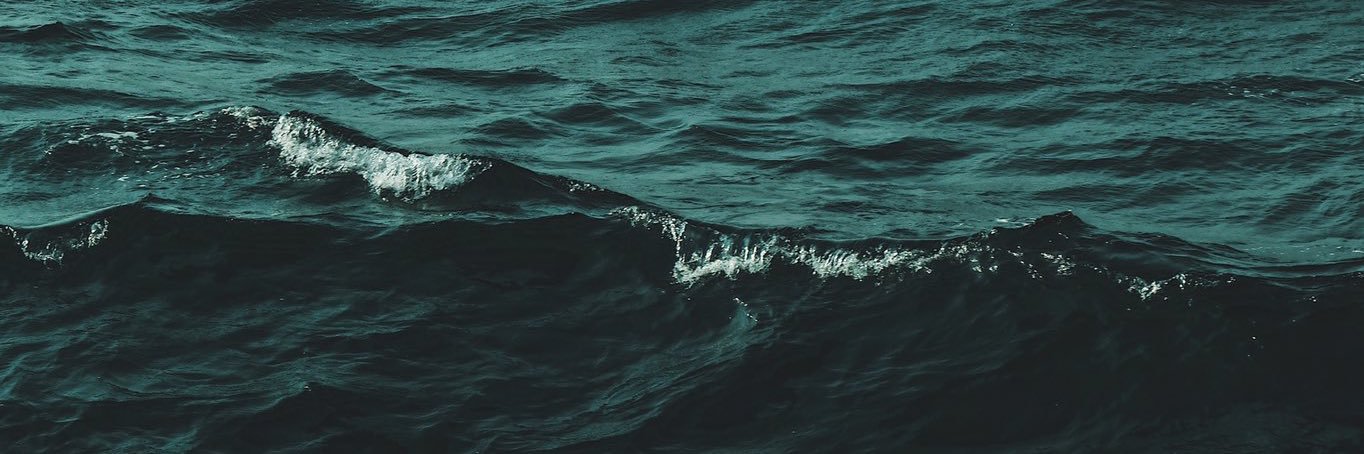 annpp__'s profile banner image