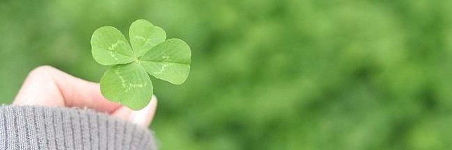 bi4fmknyghk's profile banner image