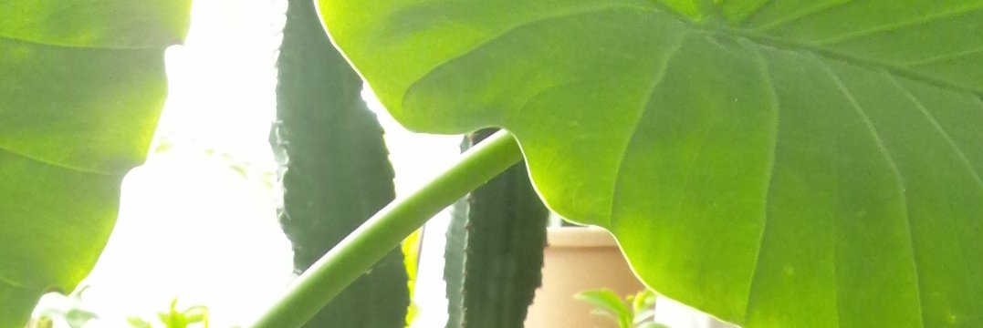 chame0512's profile banner image