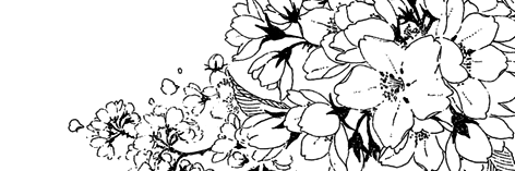 XQETEK's profile banner image