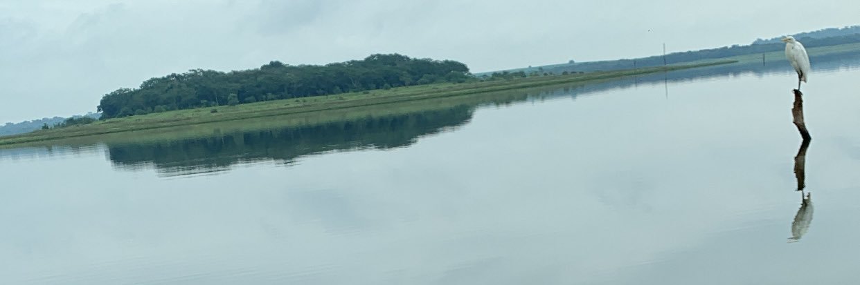 FelipeCristo5's profile banner image