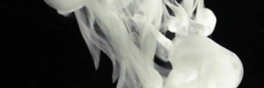 romeldj's profile banner image