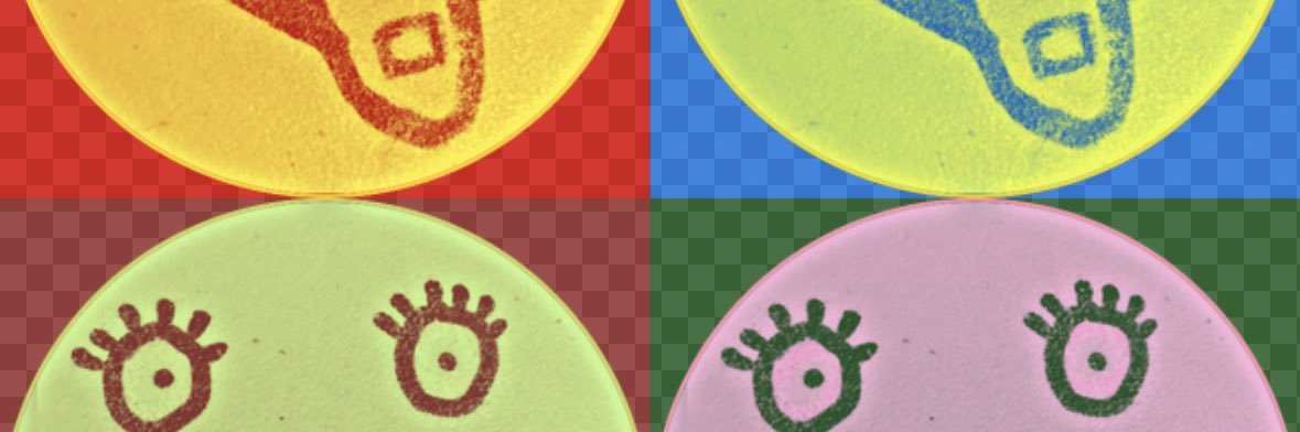 vekknesh's profile banner image