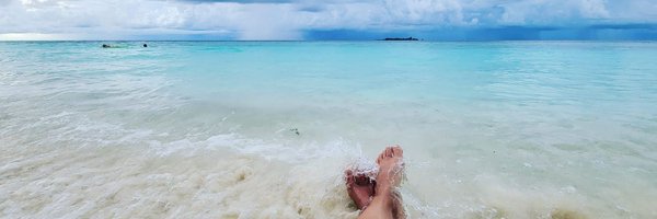 AndreaSnowflake Profile Banner