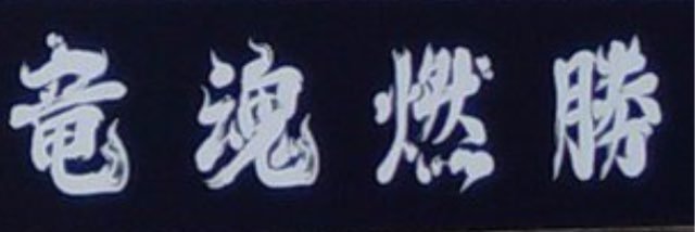 pilolly's profile banner image