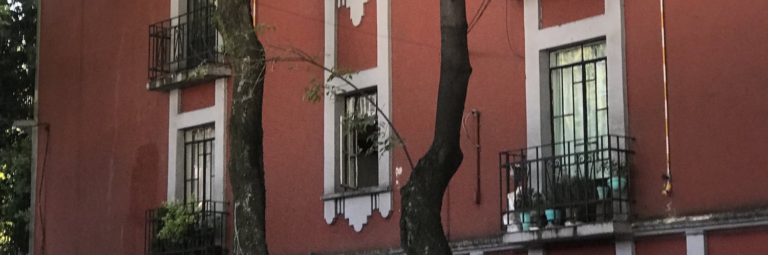 pedro banner