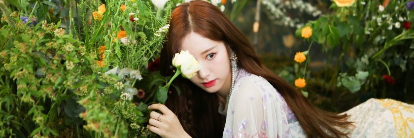 bonavvjsn's profile banner image