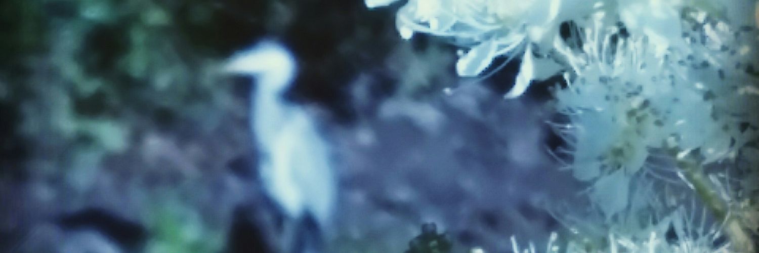 FieldHarmonics's profile banner image