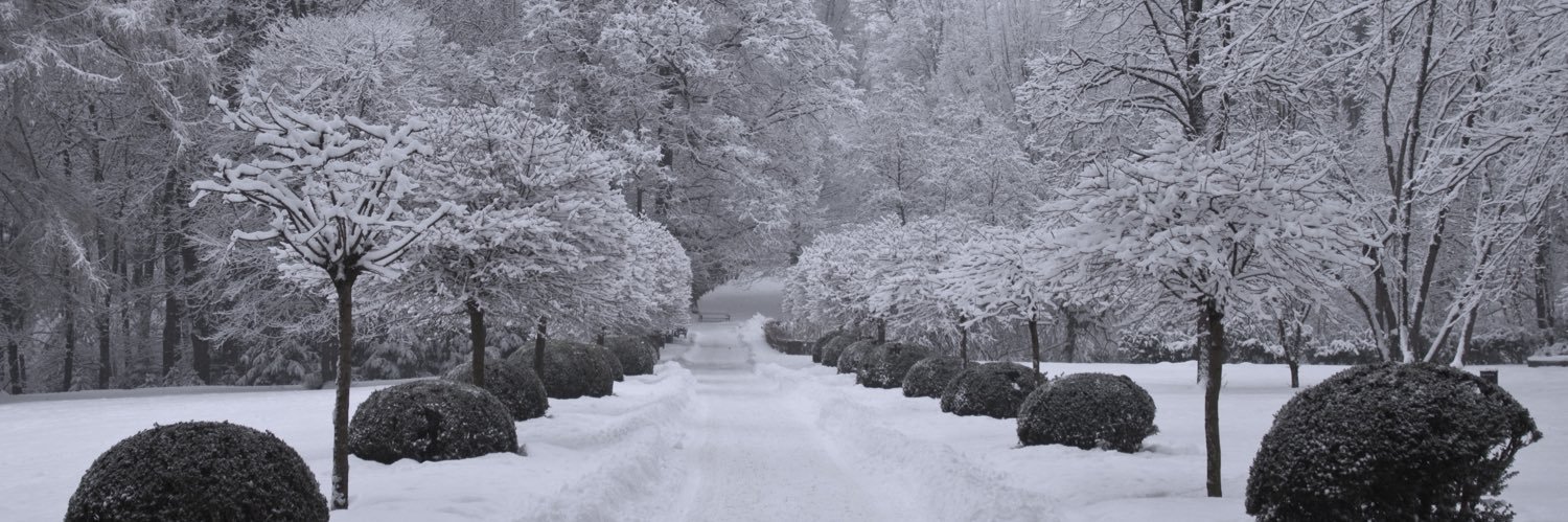 BRWinter's profile banner image