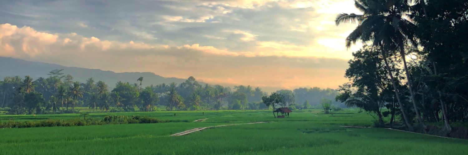 afianifitri's profile banner image