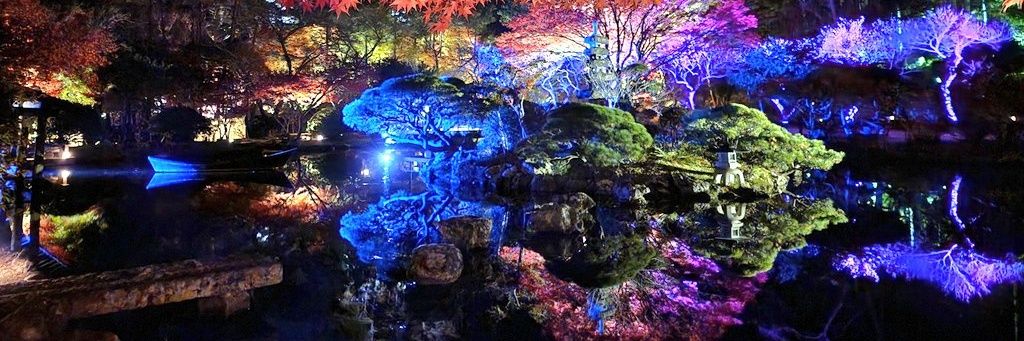 rin_nkmr's profile banner image