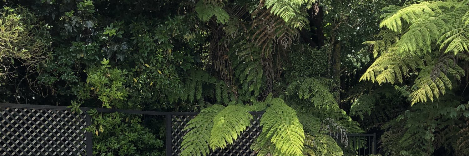 MonzagirlNZ's profile banner image