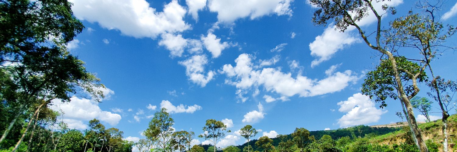leah_ross's profile banner image