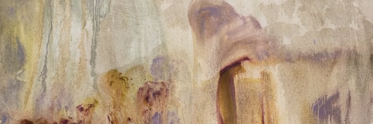 iris ⋆˚꩜ pjo socmed au 📌 banner