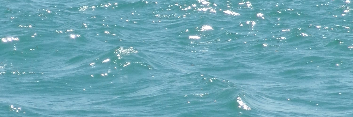 motormarlee's profile banner image