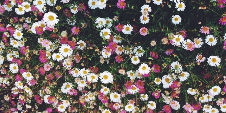 Pan_nk's profile banner image