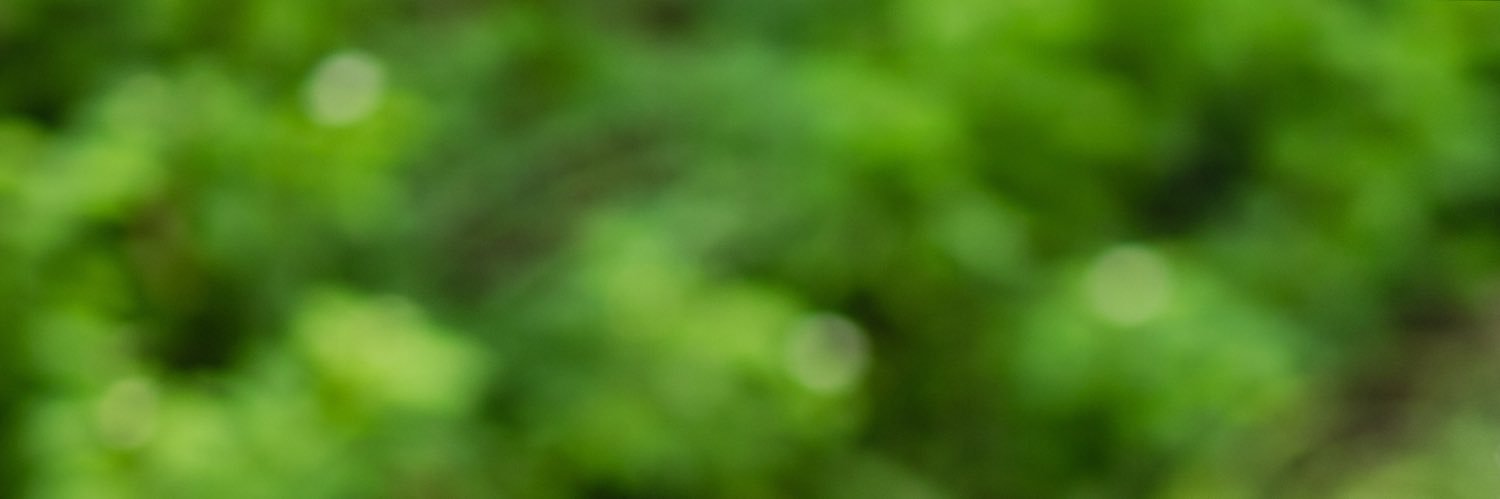 sinem_aslan's profile banner image