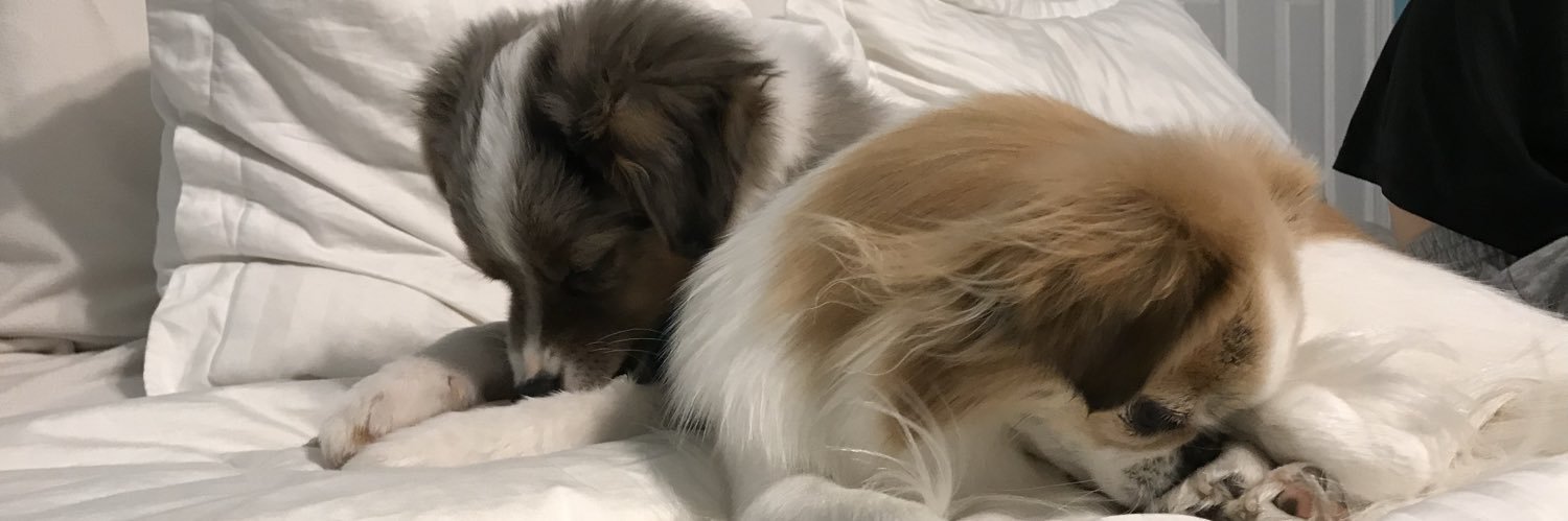 hannahsm__'s profile banner image