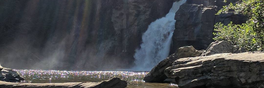 rootevan67's profile banner image