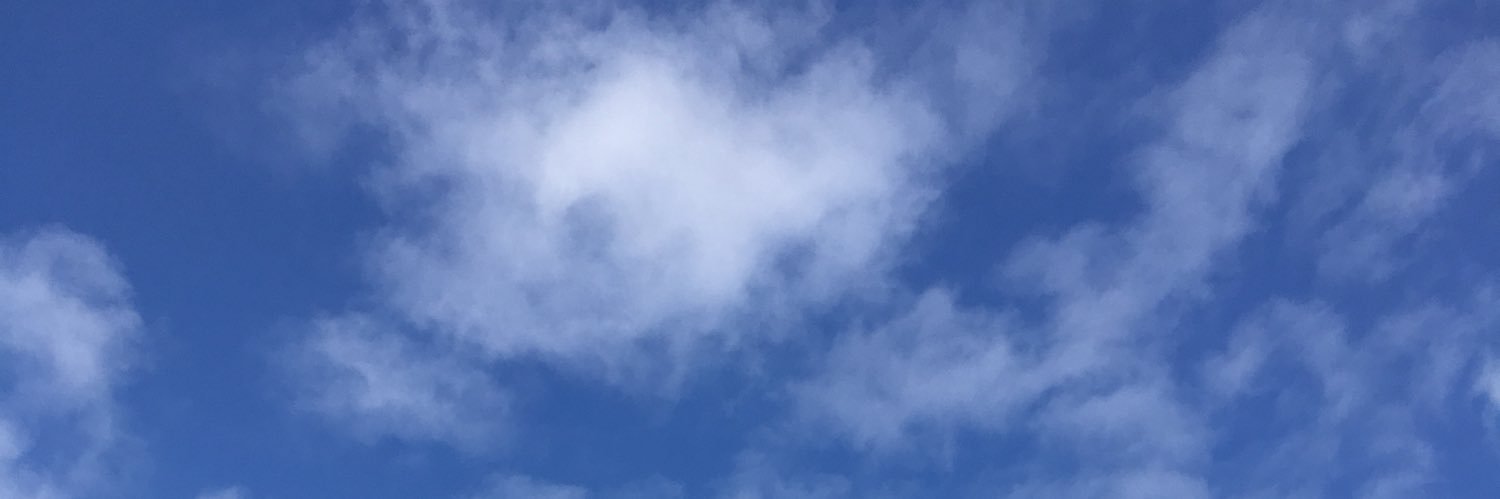 GottchaMovin's profile banner image