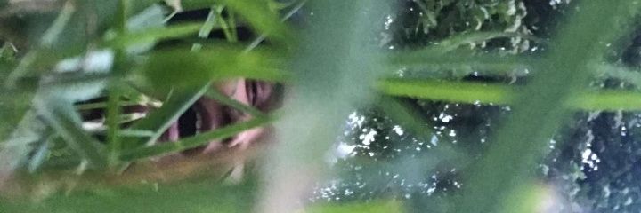 mon_cherrelle's profile banner image