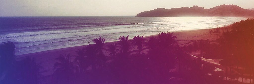 Perliurix's profile banner image