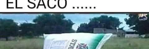 Fernando el santo banner