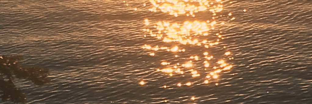 hhtdoesnotfuck's profile banner image