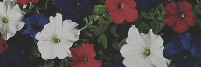 lukesocean_'s profile banner image