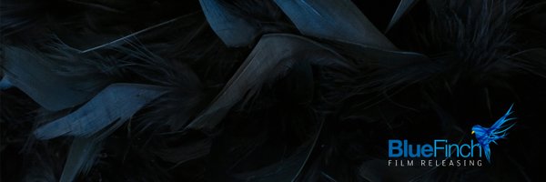 BlueFinchFilms Profile Banner