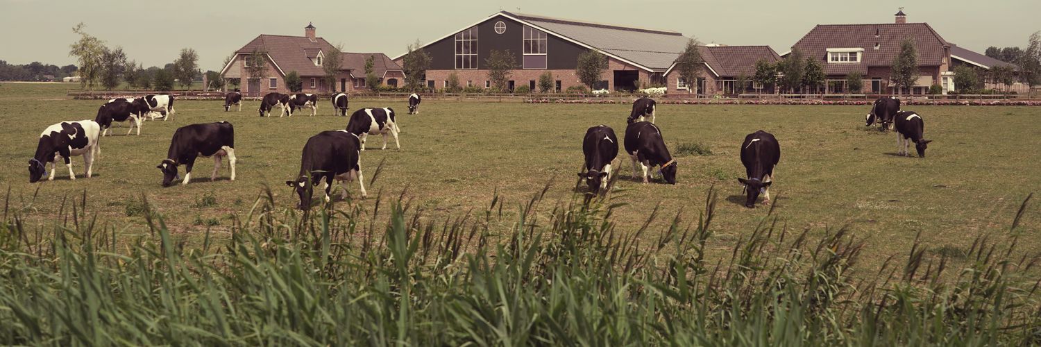 Trotse Boer🐄🐄🐄🐔🐔 banner