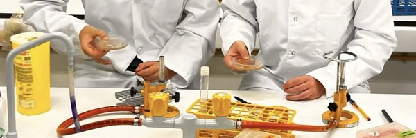 MicroMundoUZ Profile Banner