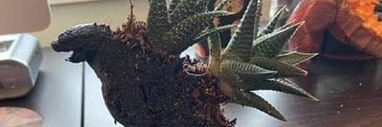 Elefanteflaco's profile banner image