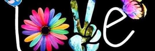 1lisalu's profile banner image