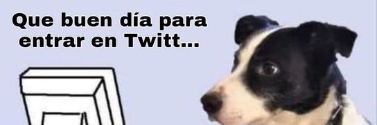 Fernando B.S. banner