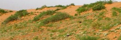 sama16967690's profile banner image