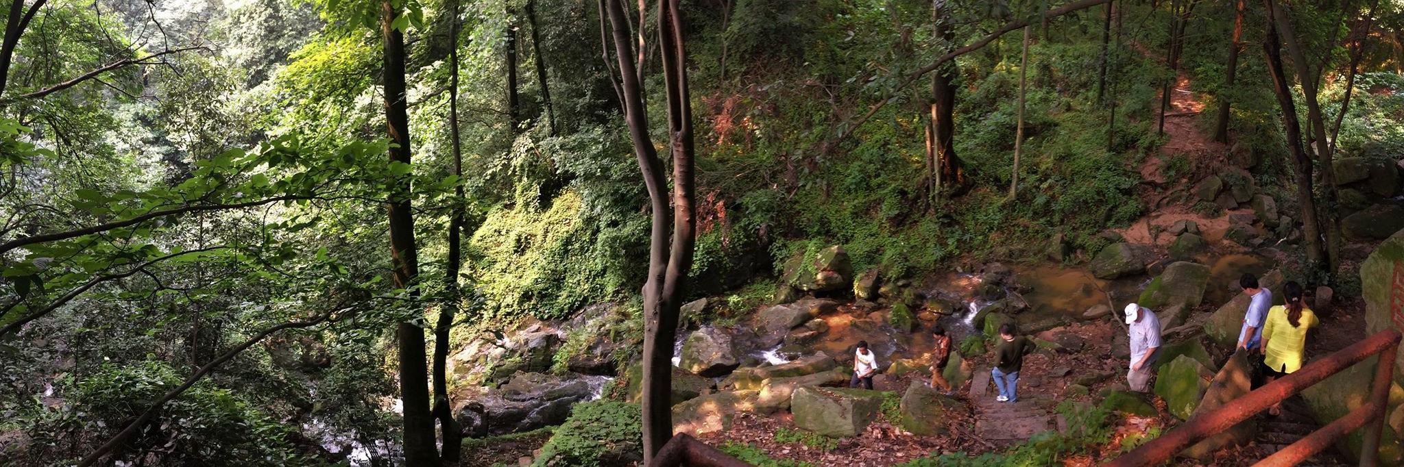 Richard Thomas banner