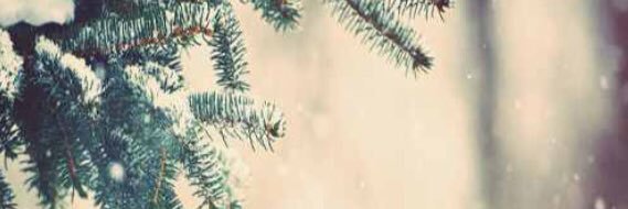 AshleyMayle's profile banner image