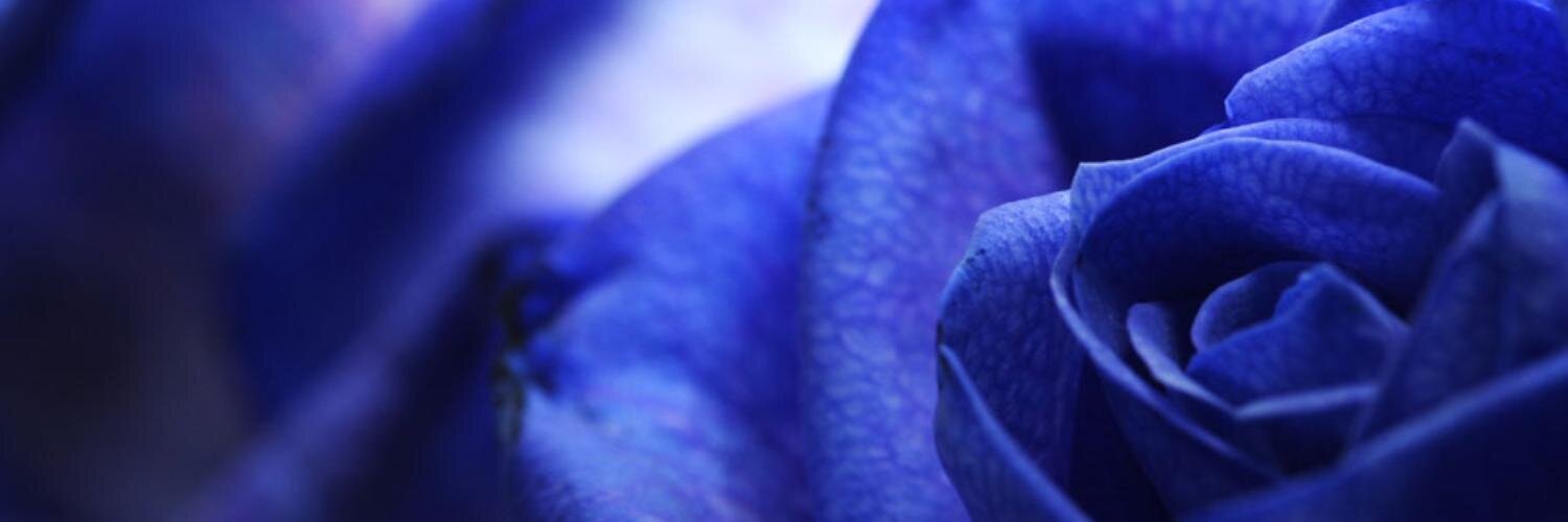 Epi_is's profile banner image