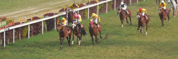 sandiffthin Profile Banner