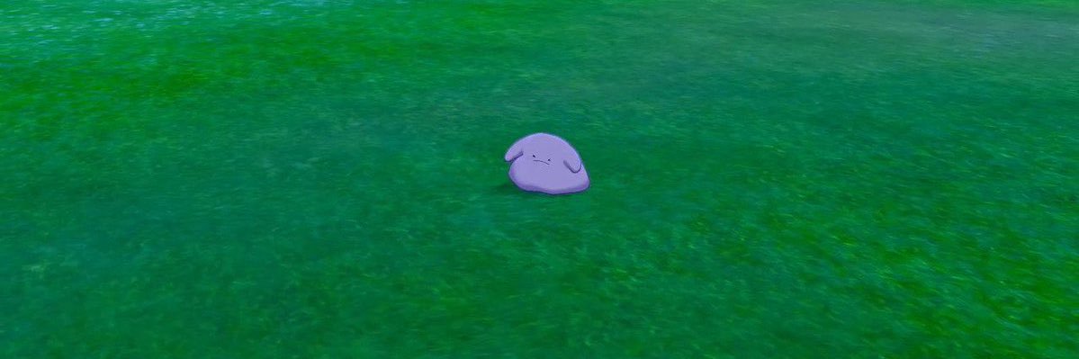 ernestoroc's profile banner image