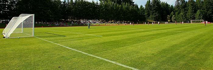 SoccerMom banner
