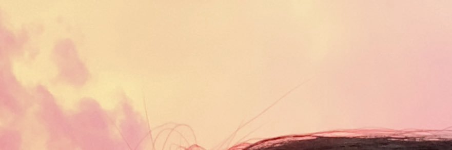ppintenten's profile banner image