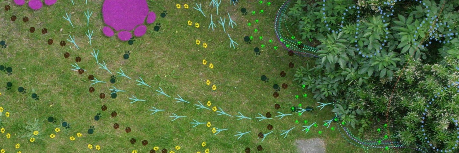 Biodiversity EU Research and Innovation banner