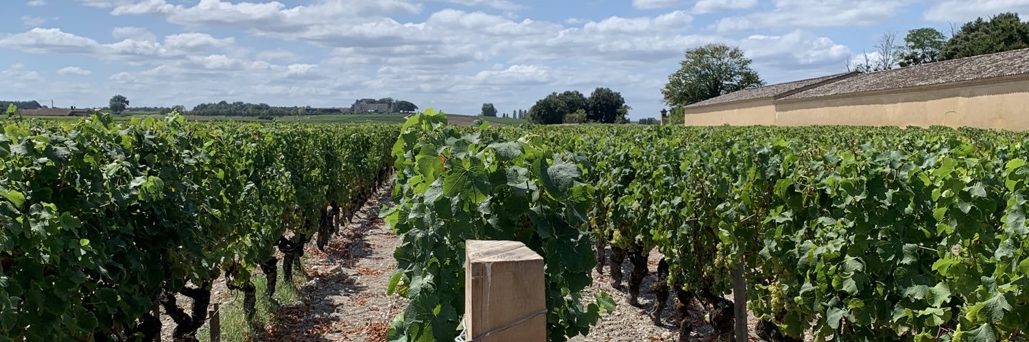 Stephanie Kerr (nee Brennan) banner